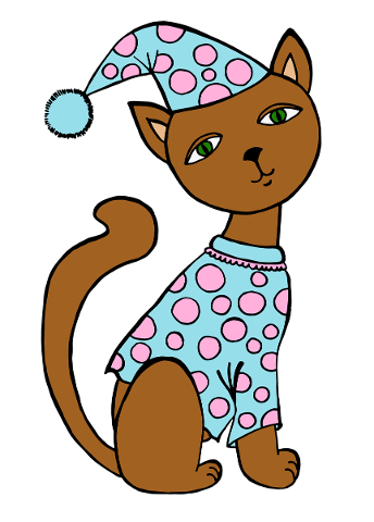 cat-pajamas-sleep-cats-animal-5192430