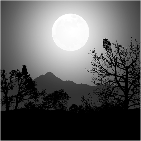 halloween-nature-tree-owl-night-4576795