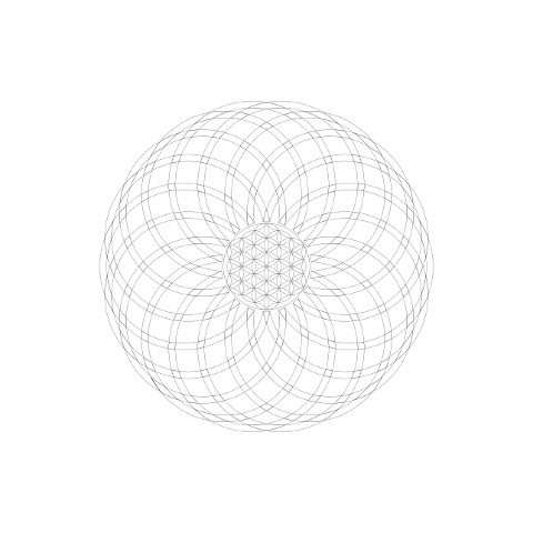 flower-geometry-design-circle-art-7234172
