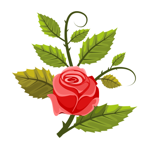 illustration-rosa-flower-leaves-4731641