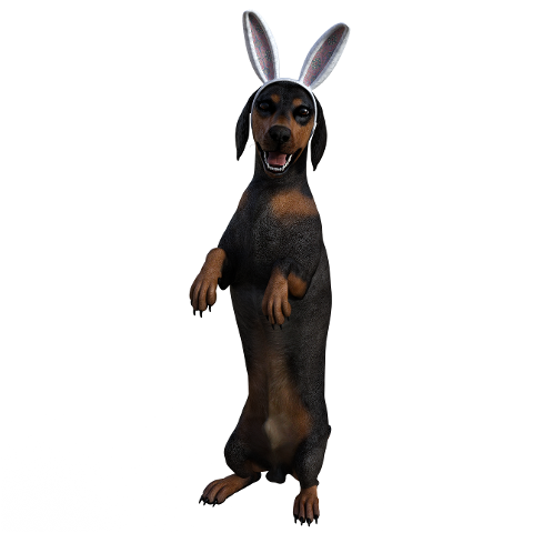 dog-easter-doggy-easter-bunny-4566318