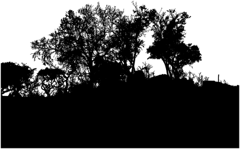 trees-mountain-silhouette-forest-5767944