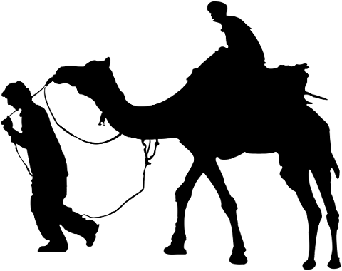camels-caravan-silhouette-animals-5081156