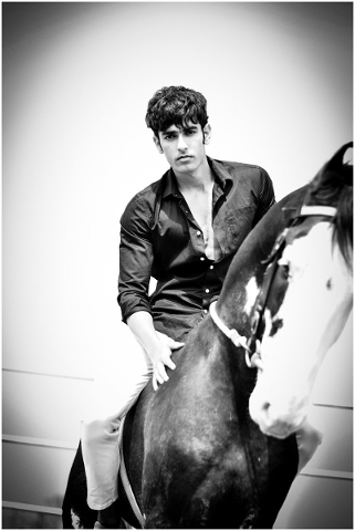 male-model-male-model-on-horse-horse-4887352