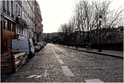 street-trees-buildings-avenue-6020001