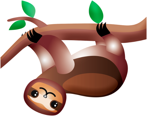 sloth-cute-animal-upside-down-4794388