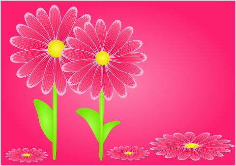 gerbera-flowers-design-art-spring-7188277