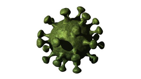 covid-19-virus-coronavirus-pandemic-4931309