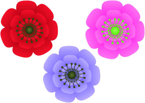 flowers-petals-flora-floral-7402561
