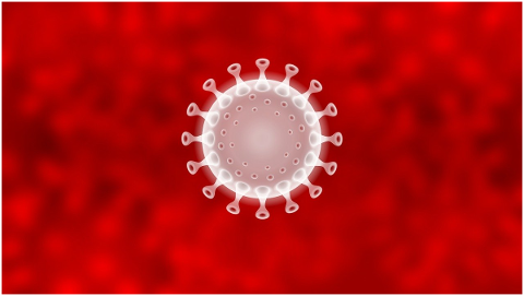 coronavirus-symbol-corona-virus-5086502
