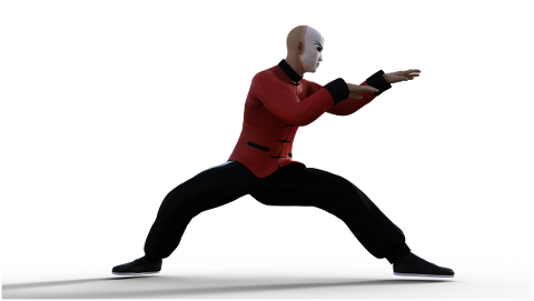 kung-fu-pose-fighter-wushu-action-4938620
