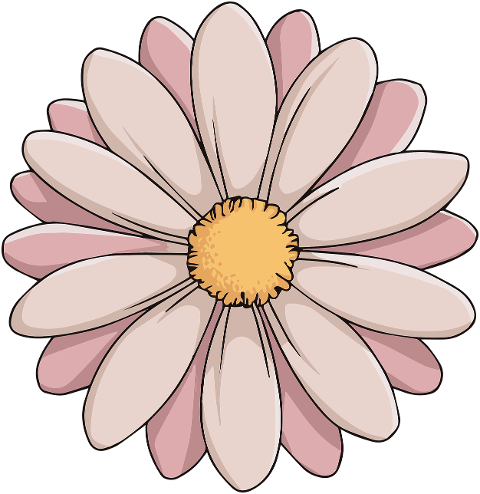 ai-generated-flower-petals-floral-9584657