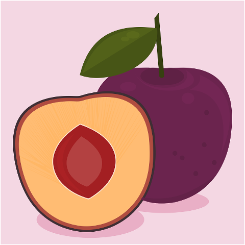 plum-fruit-food-organic-healthy-7090908