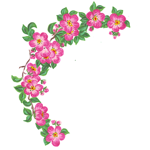 flower-border-cherry-blossom-spring-6873304