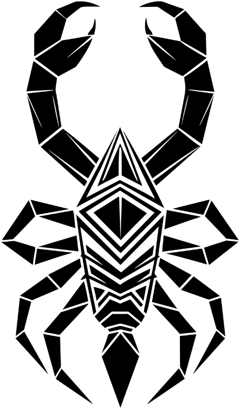 scorpion-animal-arachnid-poisonous-8726323