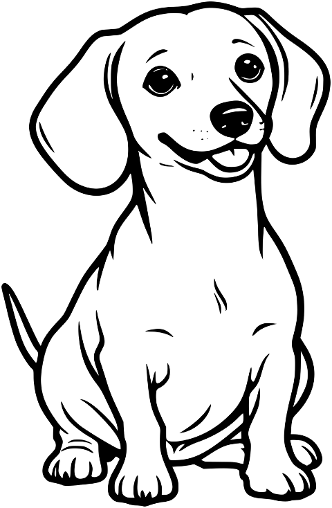 dachshund-dog-animal-mammal-canine-9215603