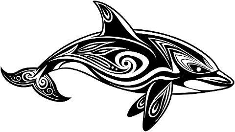 orca-killer-whale-aquatic-marine-8853346