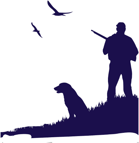 hunter-dog-hunting-predator-6623944