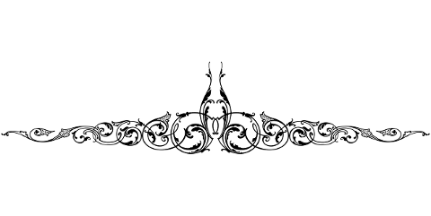 divider-flourish-decorative-7518038