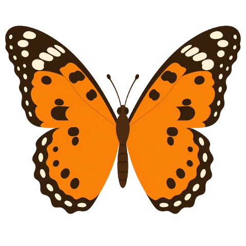 butterfly-insect-orange-wings-10365511