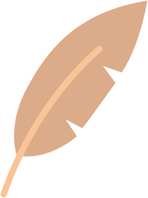 feather-birds-feather-animals-bird-9725791