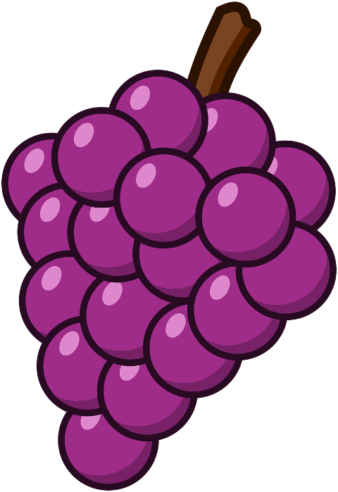 grapes-fruits-purple-grapes-food-7895273