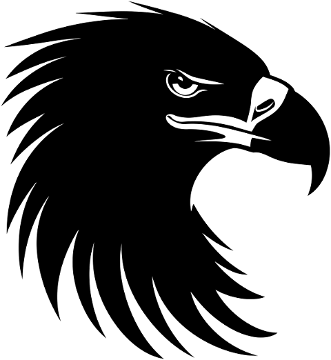 ai-generated-eagle-head-bird-8495164