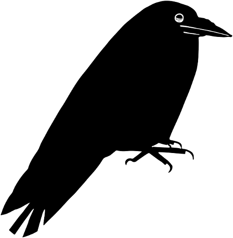 crow-bird-silhouette-animal-7136859