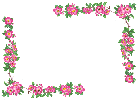 flower-border-cherry-blossom-spring-6873300