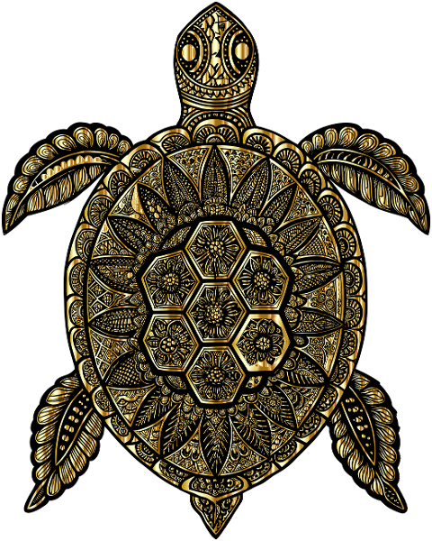 sea-turtle-animal-reptile-wildlife-9556831