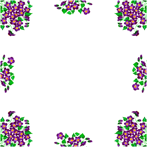 violet-violets-purple-flower-6185994