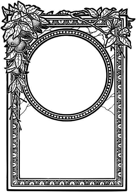 frame-flourish-line-art-border-7280556