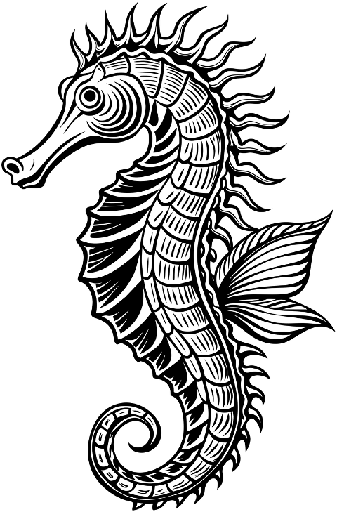 ai-generated-seahorse-animal-9135734