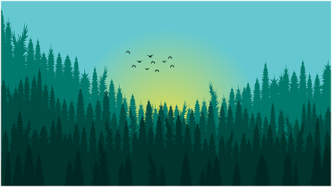 forest-flying-birds-sunrise-sunset-5889923