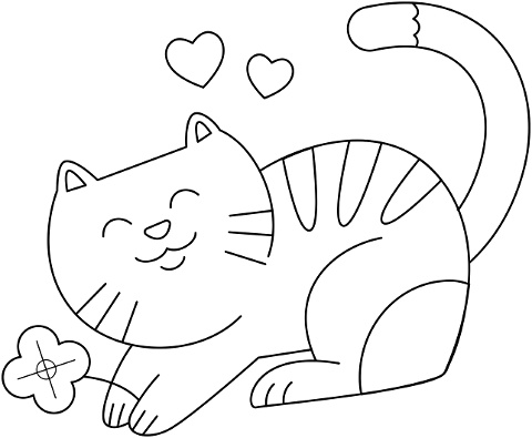 cat-kitten-animal-feline-kitty-6387849