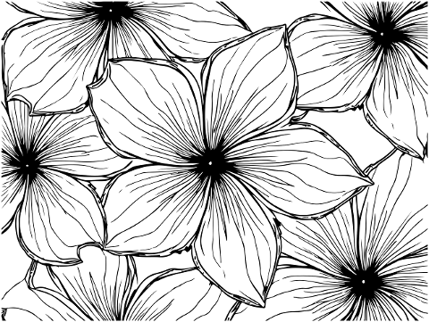 ai-generated-frangipani-flowers-9064197