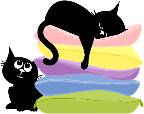 cat-kitten-black-cats-pet-animal-9648854