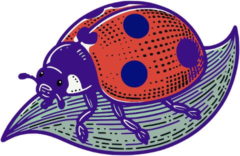 ladybug-insect-ladybird-beetle-8965919