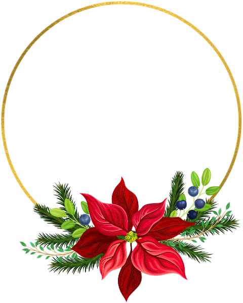 christmas-pointettia-flower-holiday-6882155