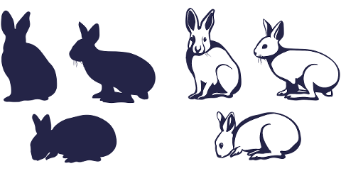 rabbit-animal-logo-pet-bunny-6577849