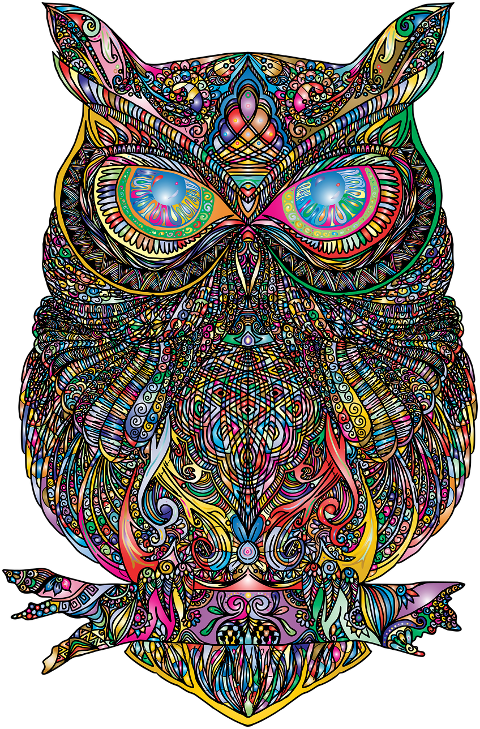 owl-zentangle-mandala-bird-6810605