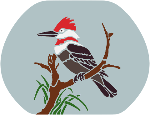 woodpecker-bird-digital-drawing-7651418