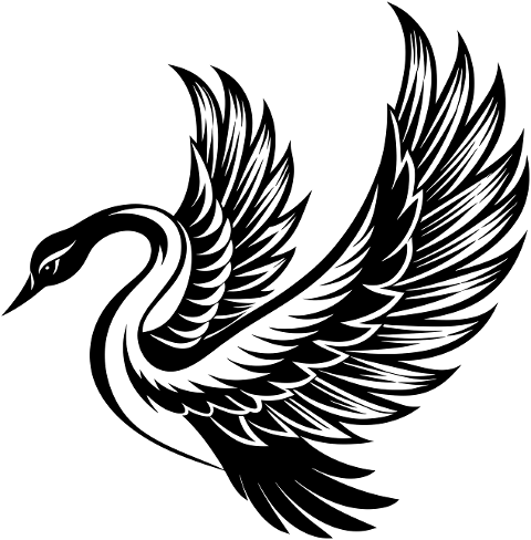 swan-bird-animal-ornithology-water-8799291