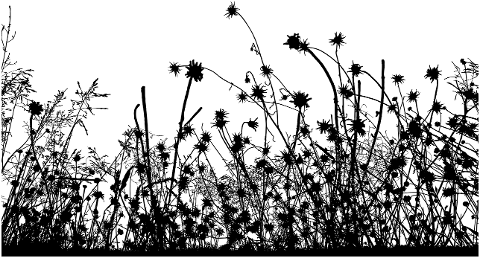 vegetation-grass-silhouette-brush-7476817