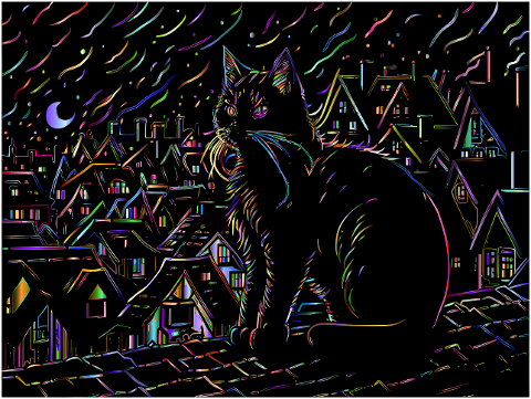 cat-night-city-animal-feline-8375897