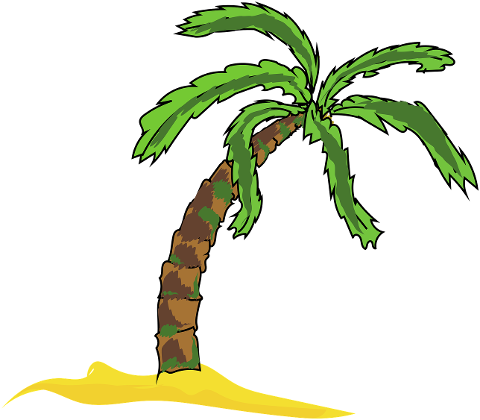 palm-tree-tree-island-tropical-6695018