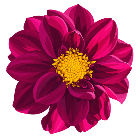 pink-dahlia-flower-golden-center-10480948