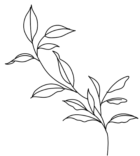 leaves-branch-line-art-drawing-8415579
