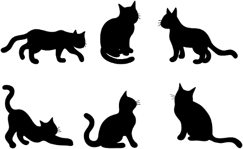 silhouettes-cat-kitty-feline-7204430