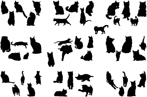 cats-felines-animals-pets-7959010